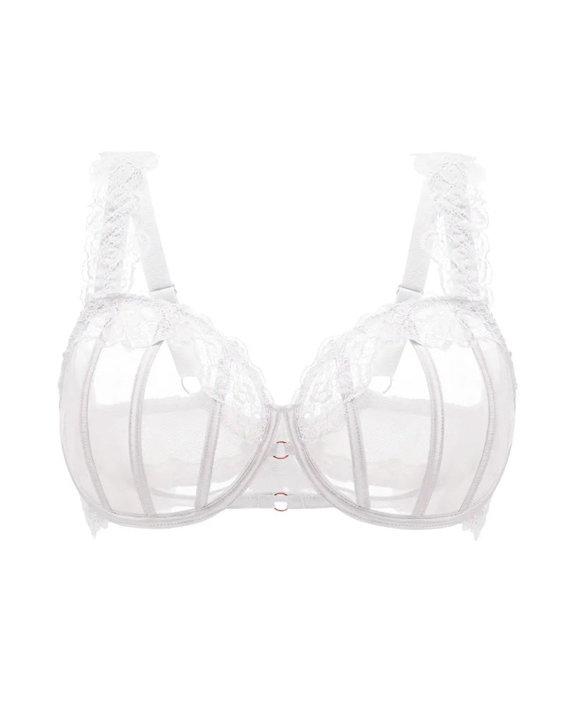 Sexy Lace See-Through Mesh Push-Up Bra