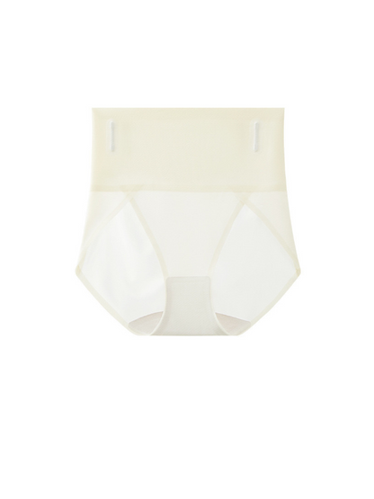 Super High Cut Brief Panties