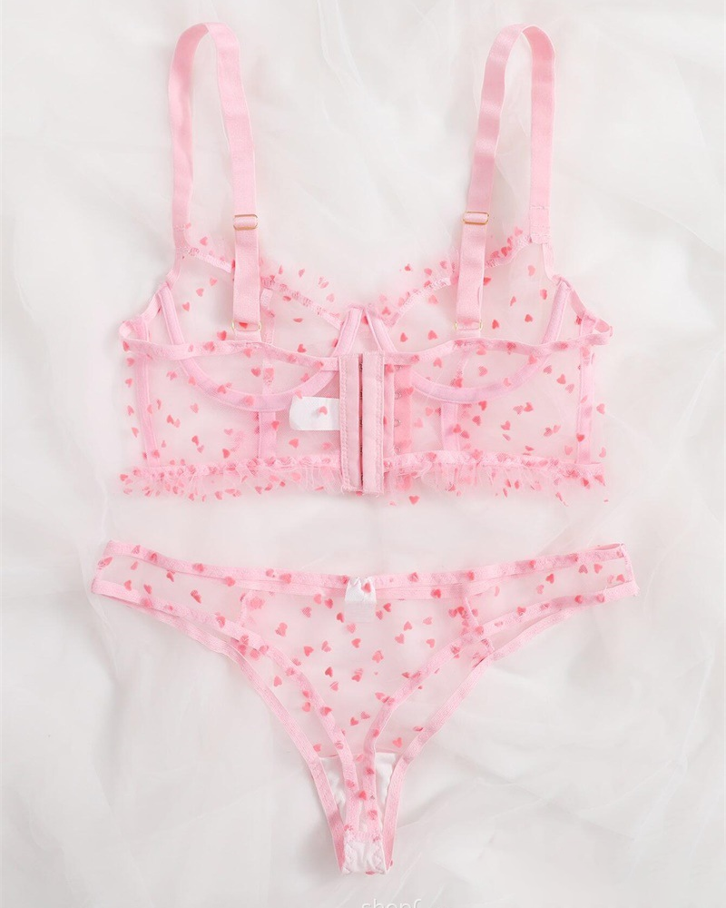 Sexy Heart Print Sheer Mesh Two-Piece Lingerie Set